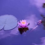 Meditation Techniques for Beginners